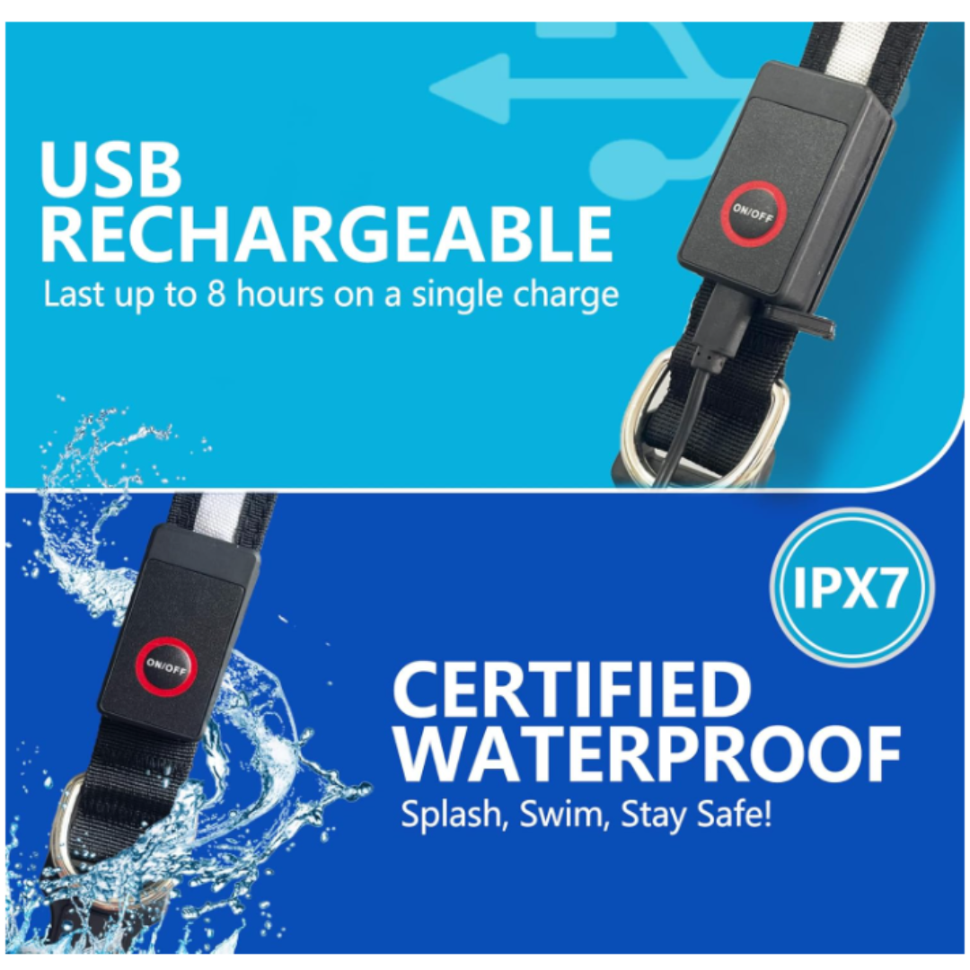 NyteBright Colorful Pet Collar