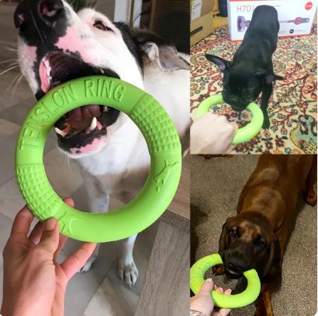 Interactive EVA Training Rings